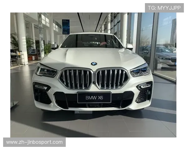 X6宝马会打造多元娱乐互动新体验开启高品质休闲社交新时代